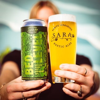 Bed Level 4-Pack Online