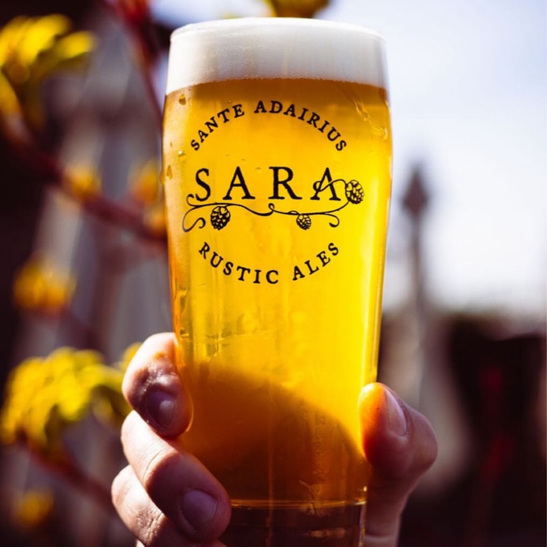 SARA Logo Pint Glass