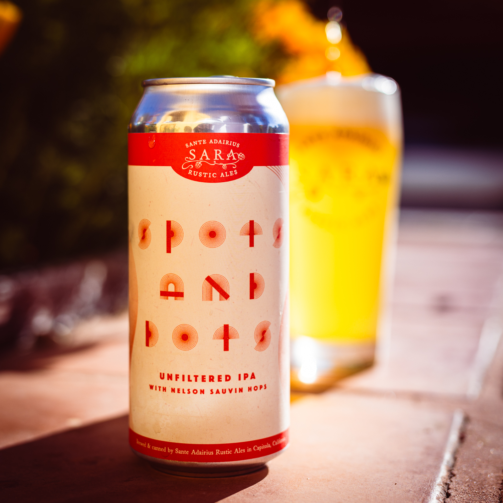 Spots and Dots 4-Pack Online