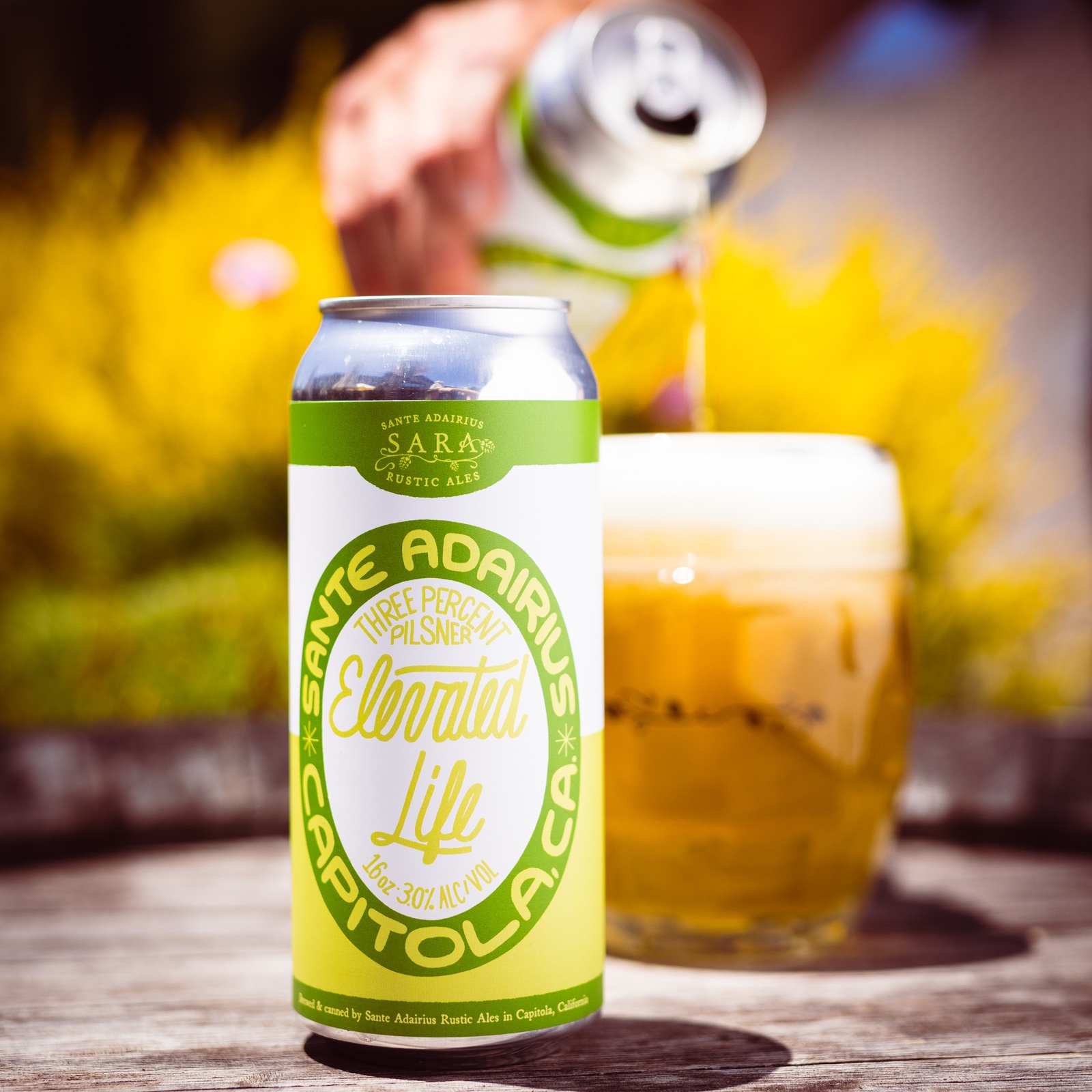 Elevated Life 4-Pack Online
