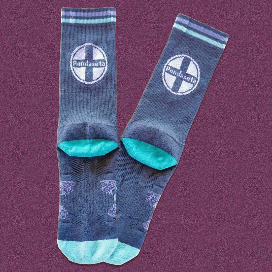 Train Logo Socks