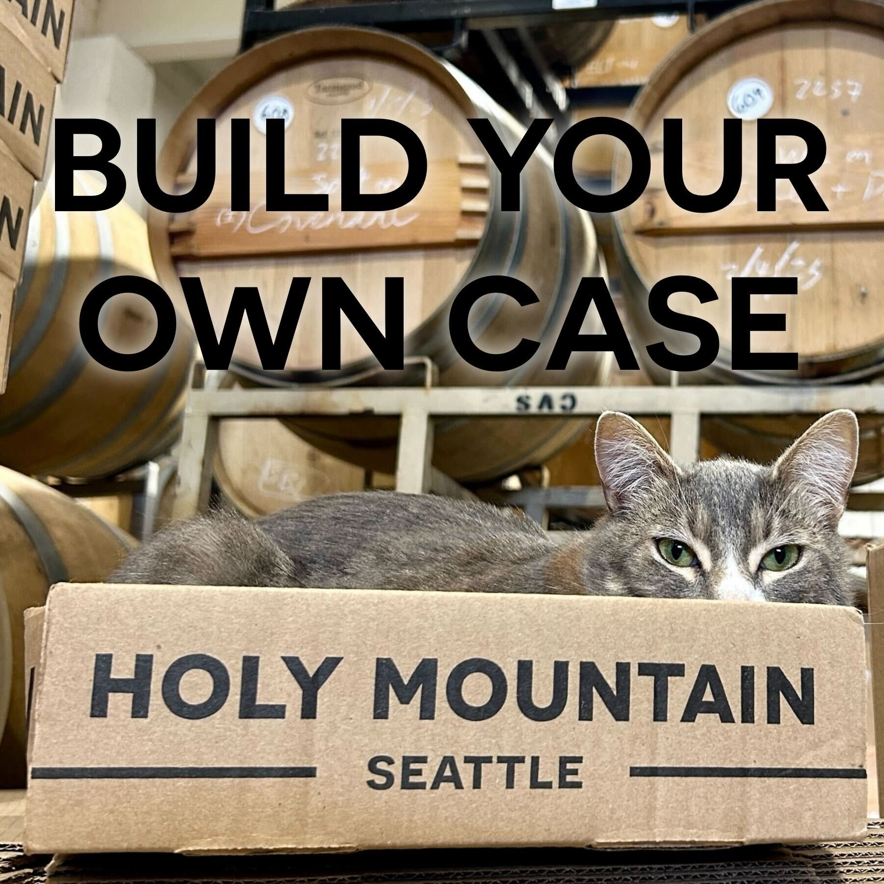 BYO Case *FREE SHIPPING*