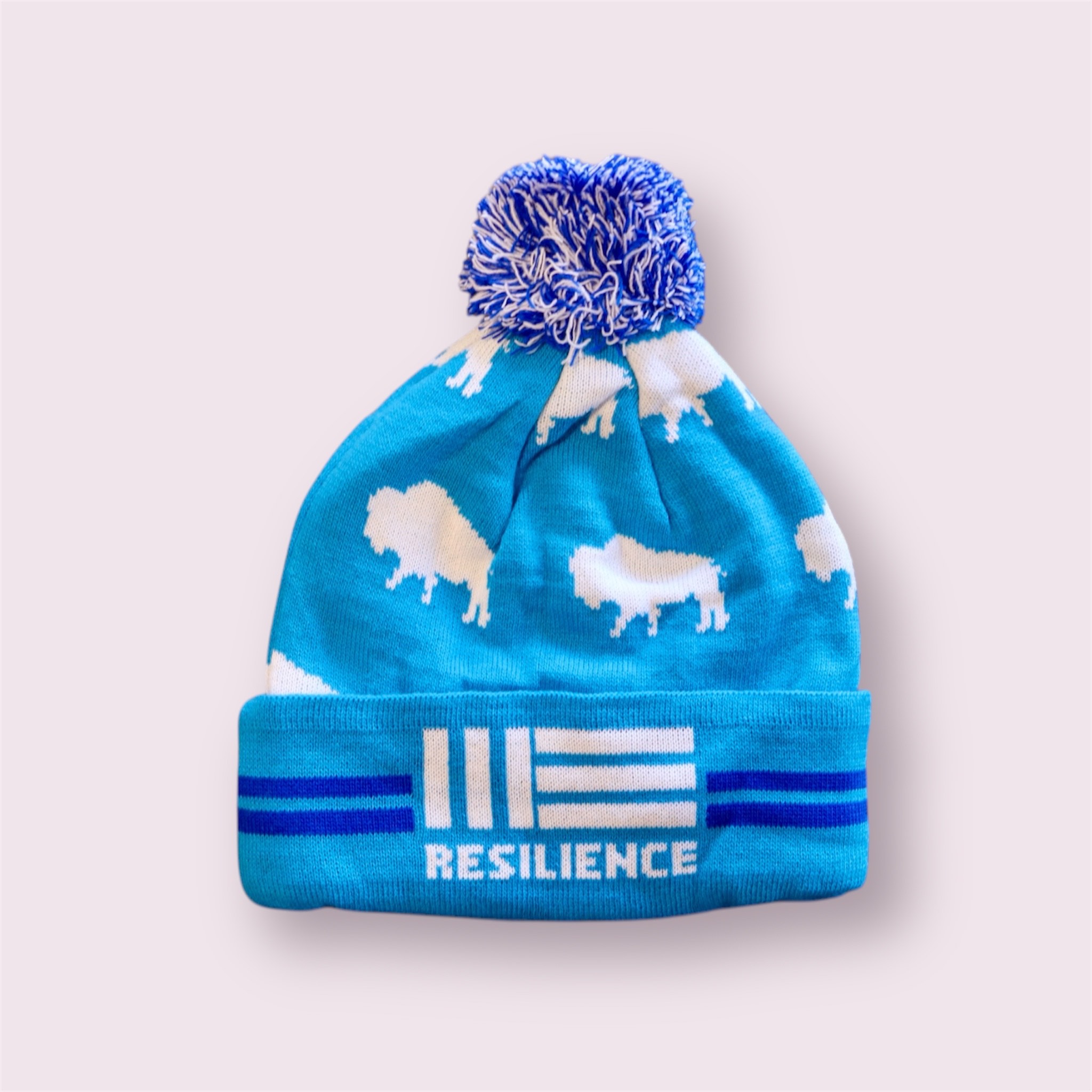Resilience Pom Winter hat