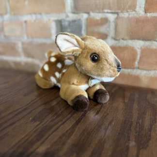 Fawn stuffed animal.