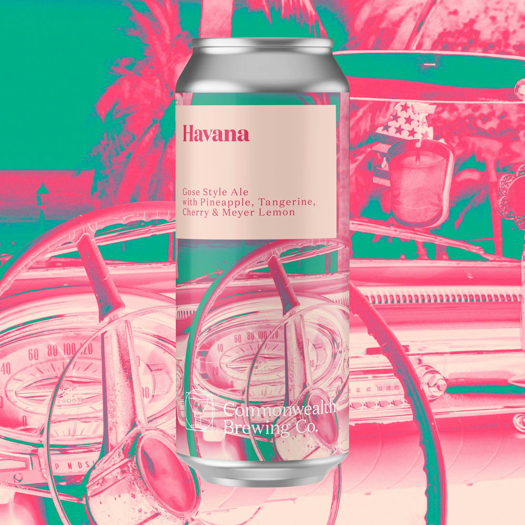 Havana (Gose)- 4 Pack