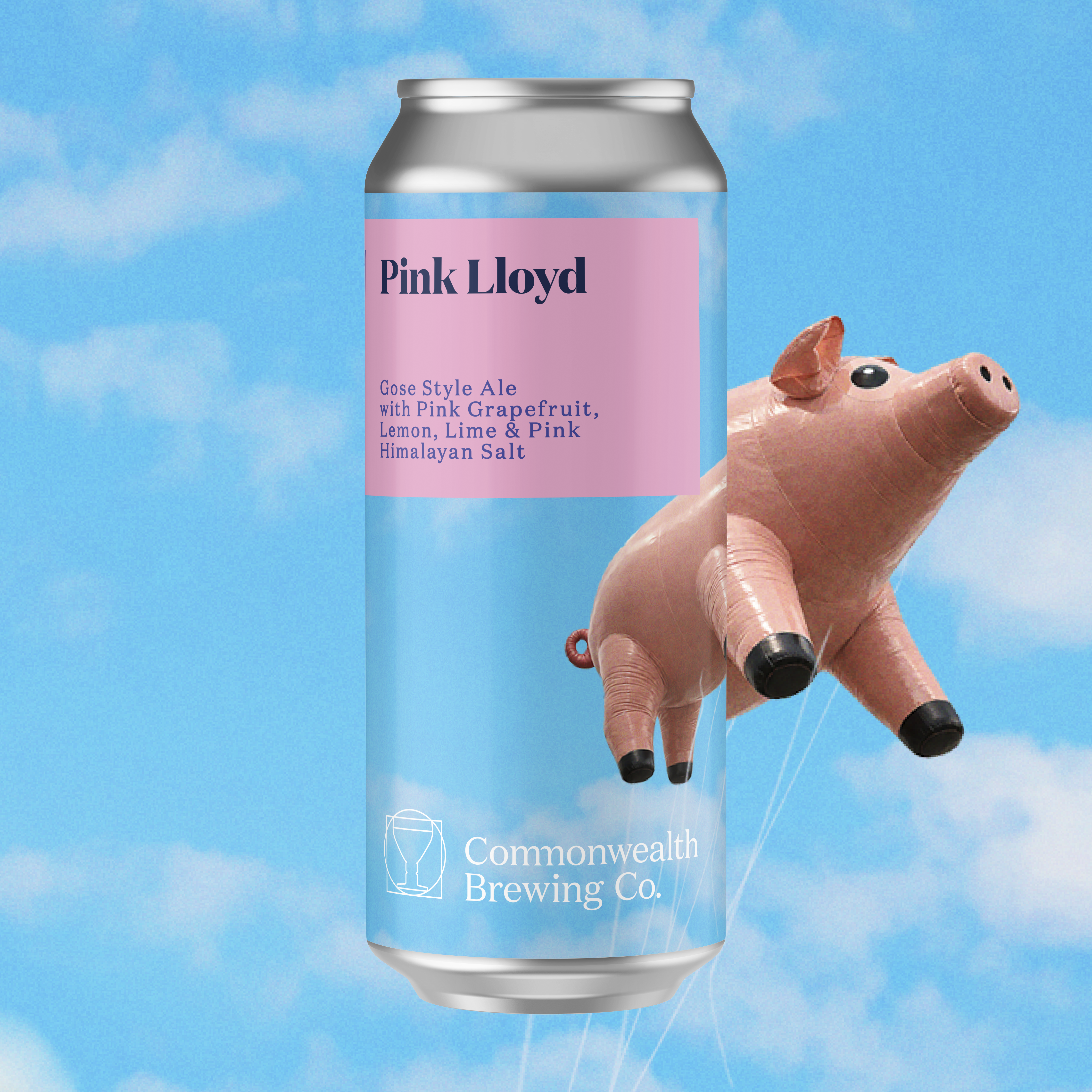 Pink Lloyd (Gose) - 4 Pack