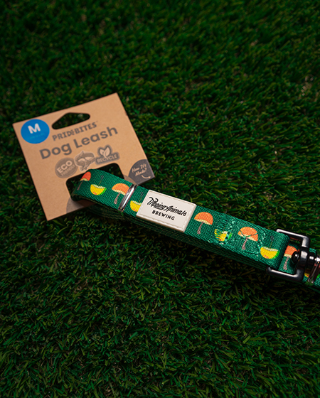 Tripping animals brewing dog leash 