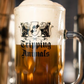 Tripping animals brewing tall glass filled with beer