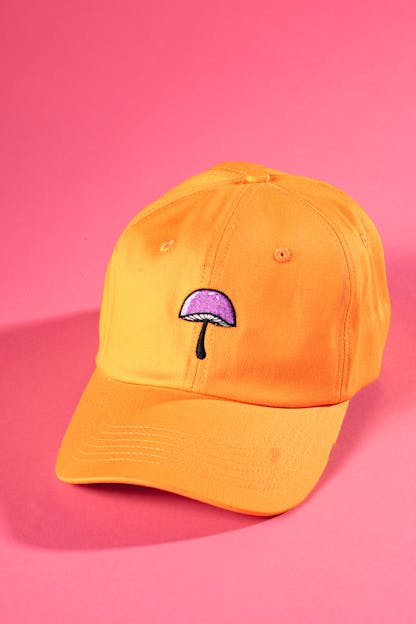 A yellow hat with a mushroom from tripping animals brewing 