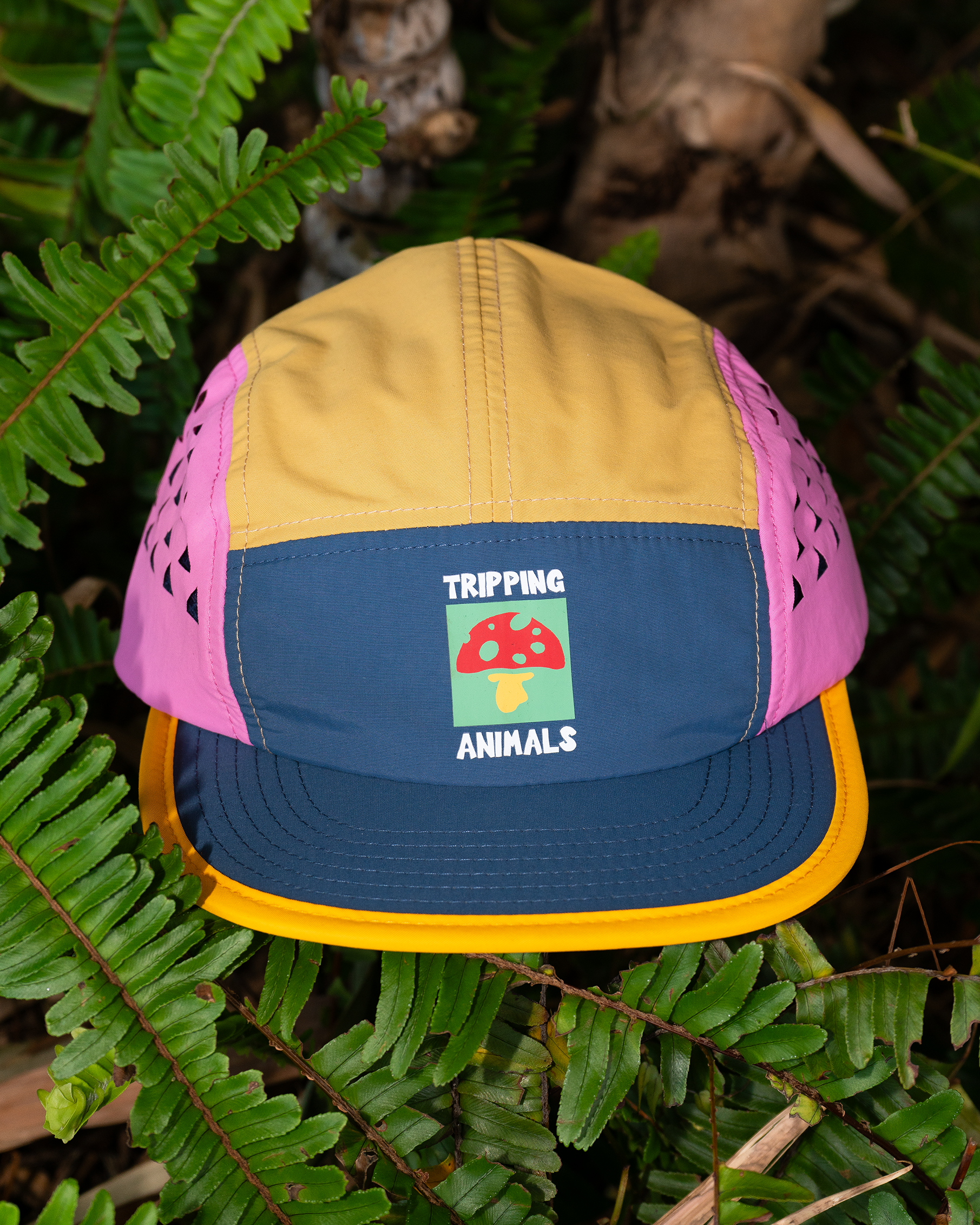 Nylon Colors Hat