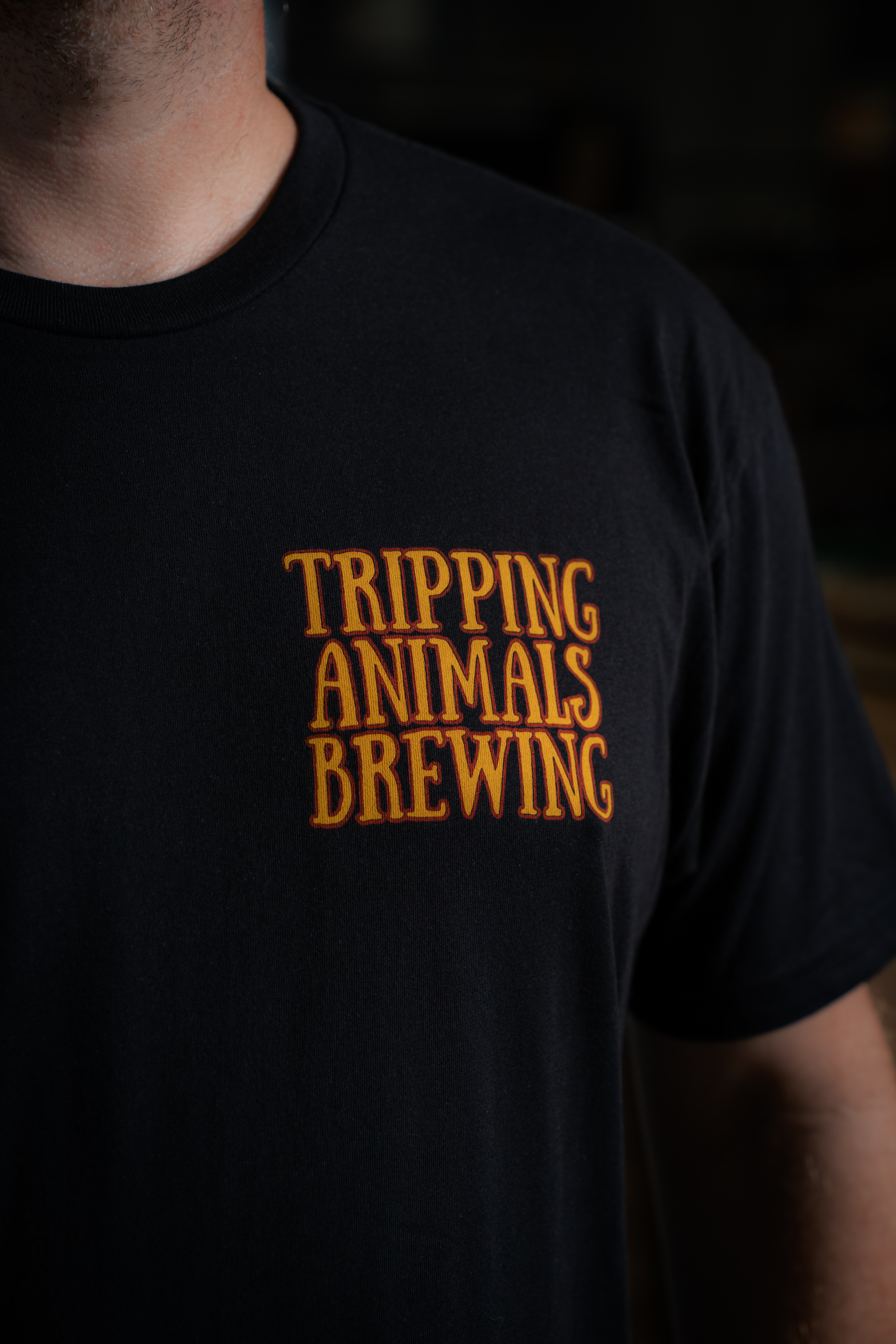 mame 15aw Tシャツ No Mames Tee - Black | Tripping Animals Online Shop