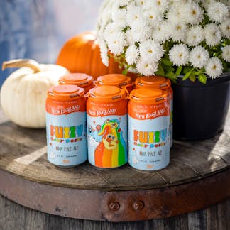 6 pack of Fuzzy Baby Ducks on barrel with pumpkins and mums