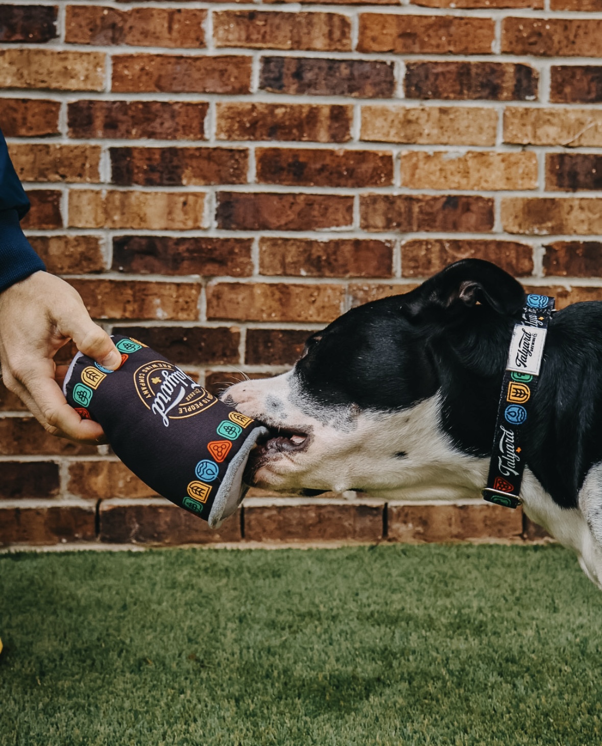 Perfect plush toy for your furry friends!