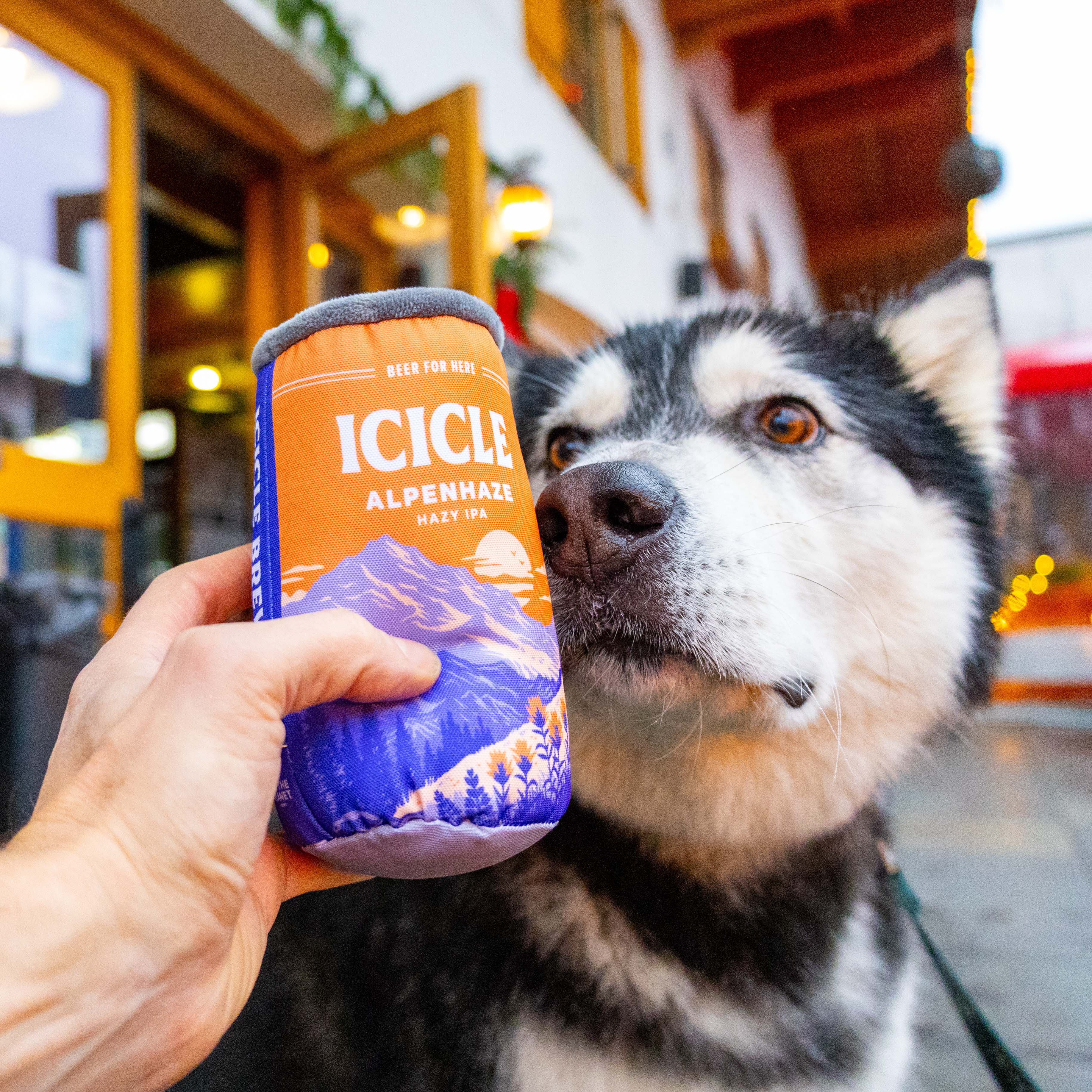 Beer Can Dog Toy | Icicle Brewing
