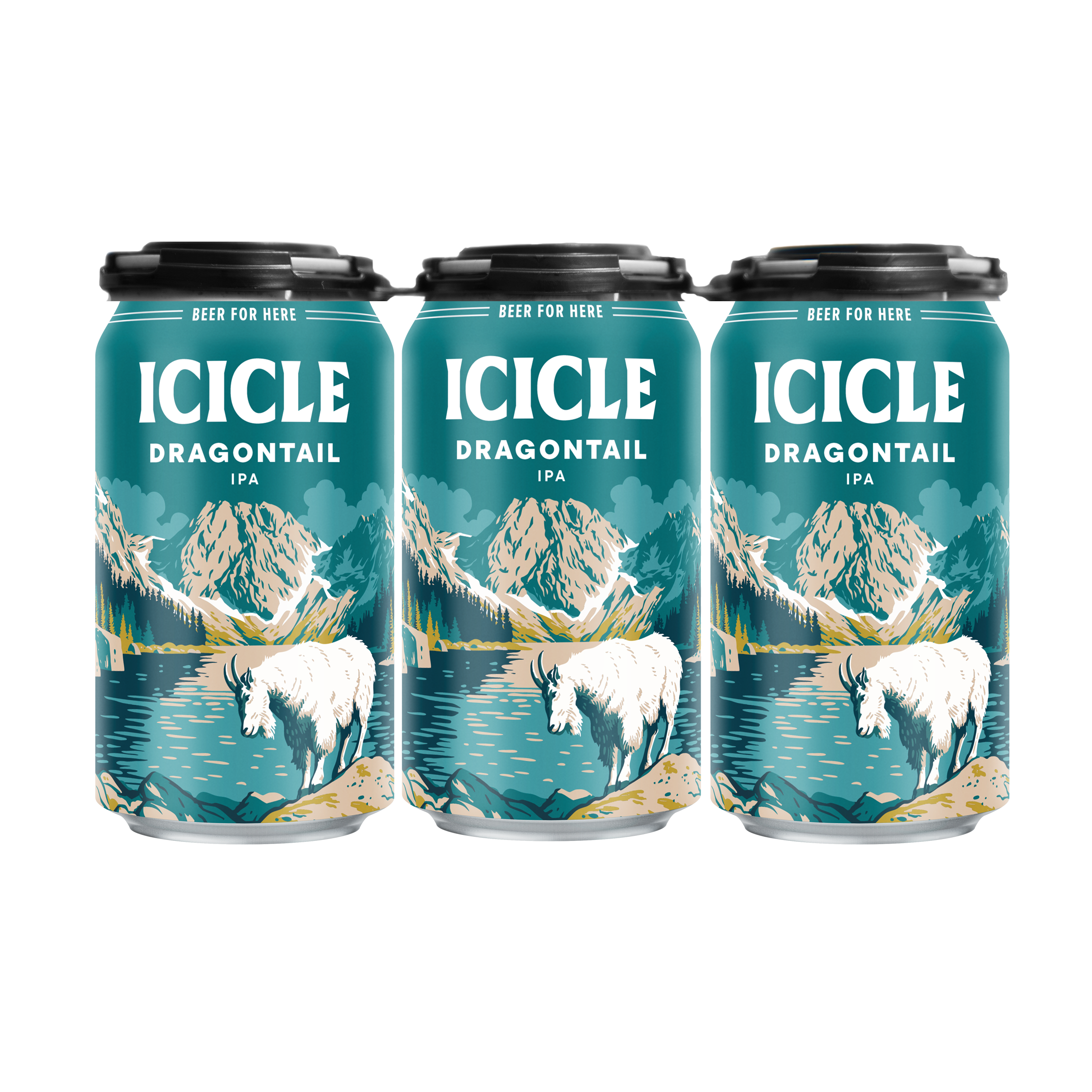6pk-12oz-Can-Mockup-Dragontail 2026