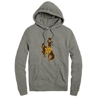 Black Tooth Brewing hoodie product photo