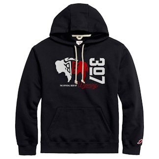 Black Tooth Brewing hoodie product photo