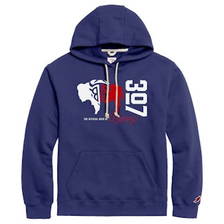 Black Tooth Brewing hoodie product photo