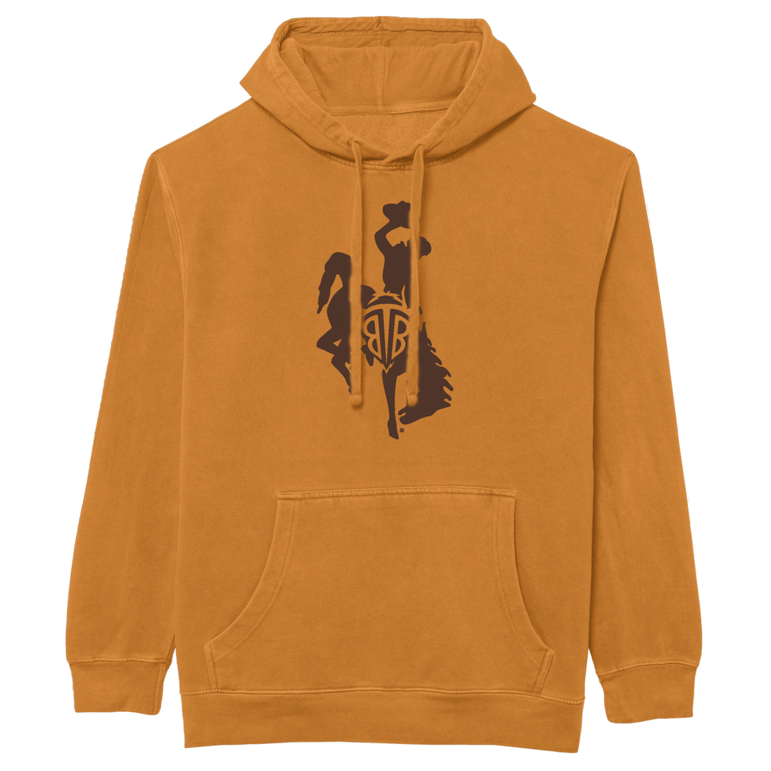 Black Tooth Brewing hoodie product photo