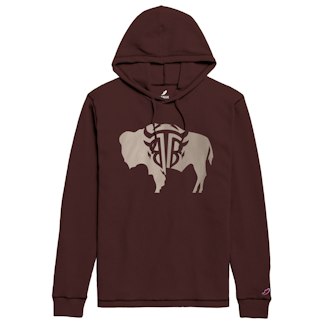 Black Tooth Brewing hoodie product photo