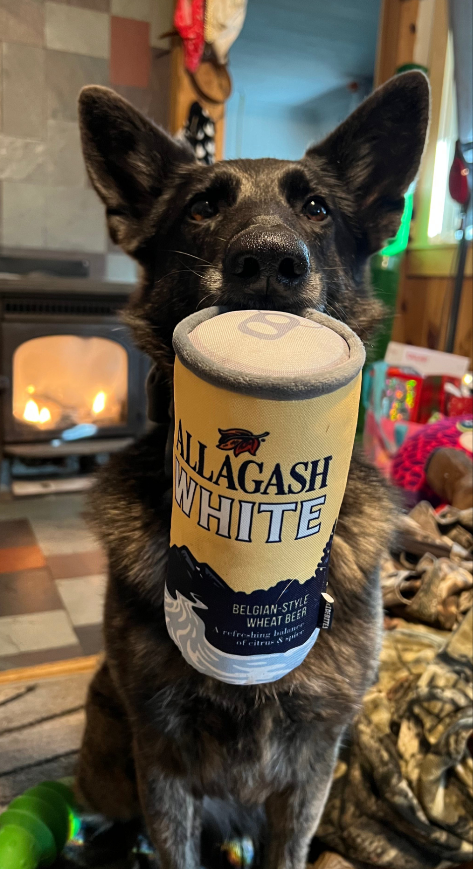 A dog holding a toy that looks like and Allagash White beer can
