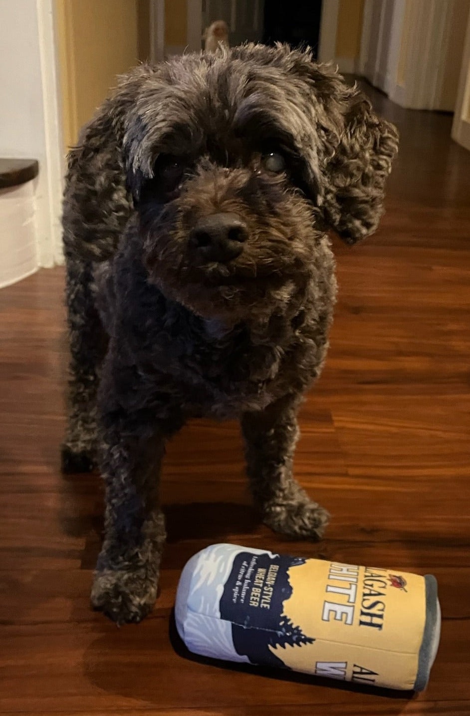 a dog standing next to a white can beer dog toy