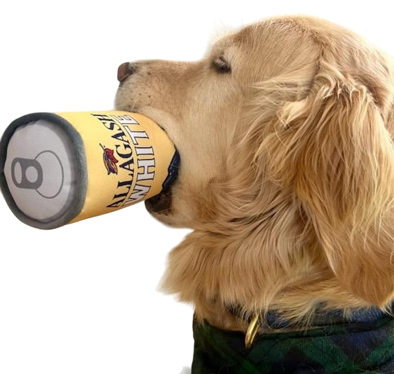 a dog holding a squeaky toy in its mouth