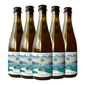 Blue River 6pk | Blueberry Sour 4.2%