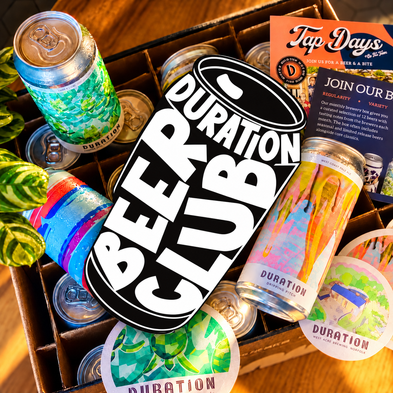 Beer Club Subscription - 12 Cans