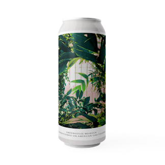 4PK | GREENHOUSE MAIBOCK CONDITIONED ON AMERICAN OAK FOUDRE