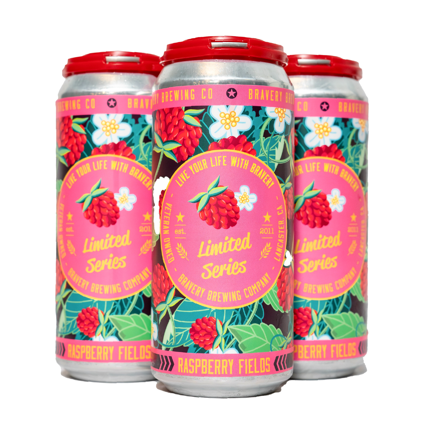 4 pack of Raspberry Fields on a white background