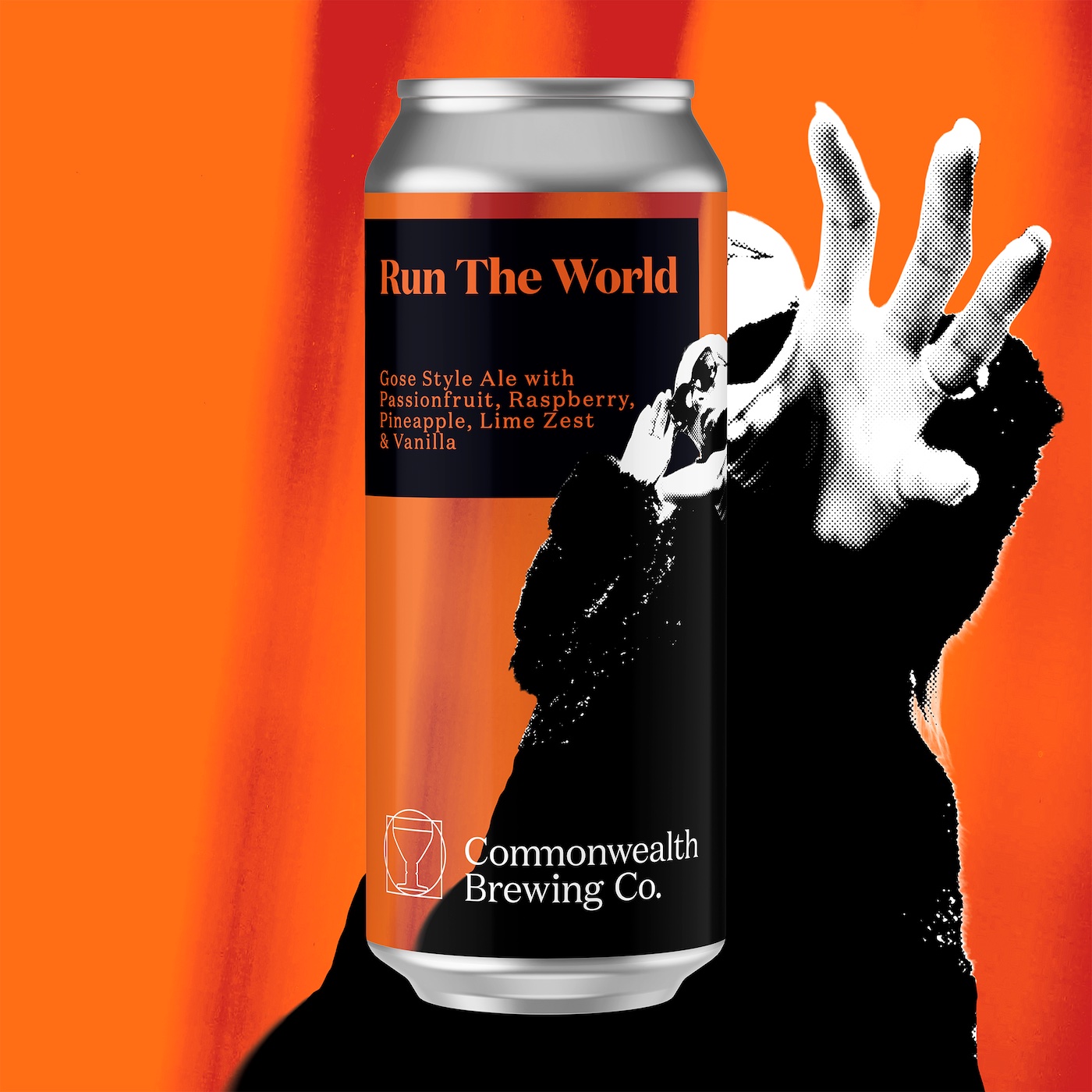 Run The World (Fruited Gose) - 4-Pack
