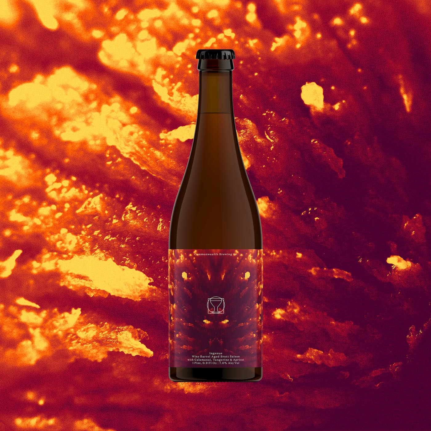 Ingenue (Fruited Mixed Culture Farmhouse Ale)- 500ml Bottle