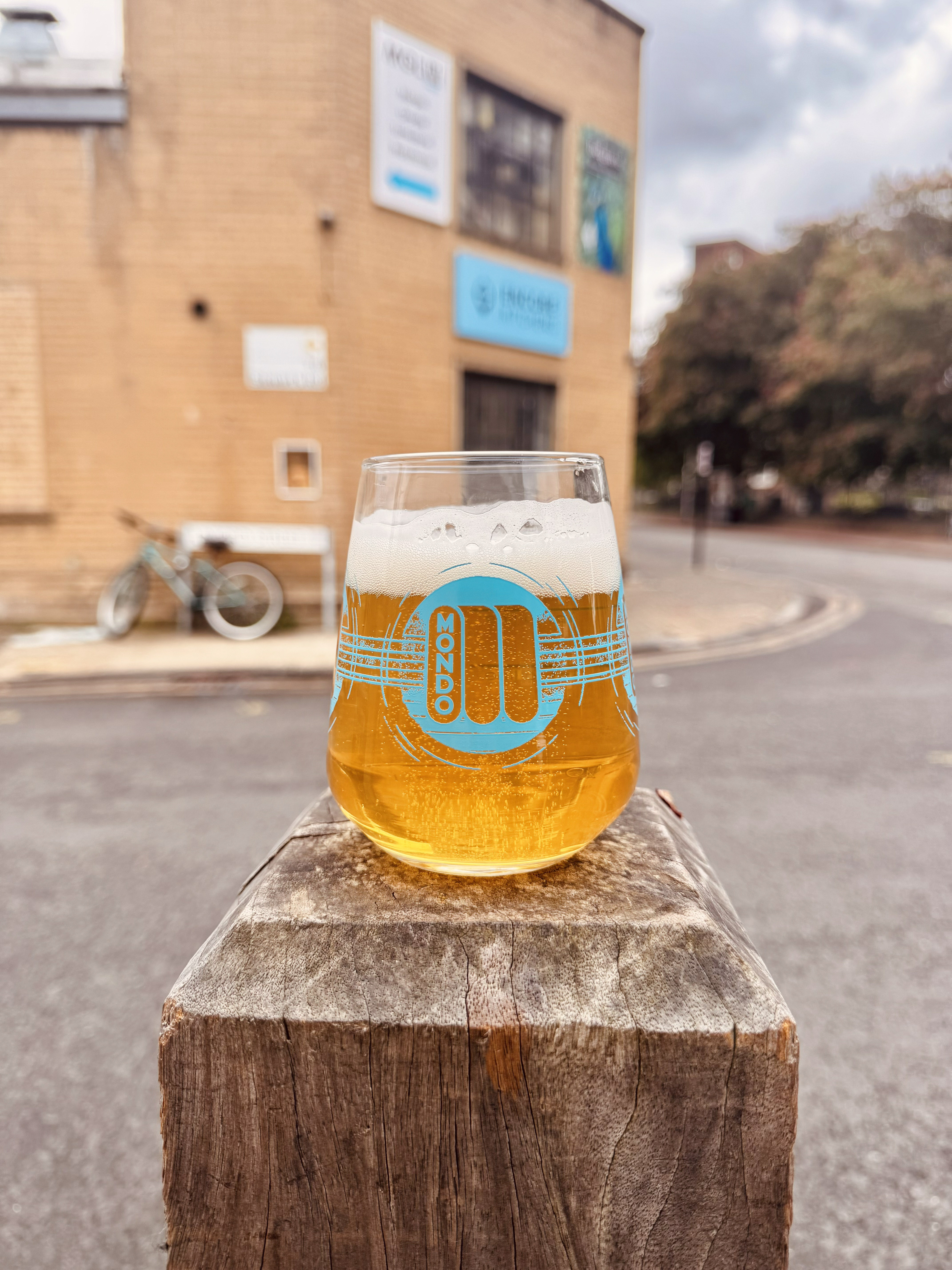 Mondo Brewing | Branded 2/3 Glass