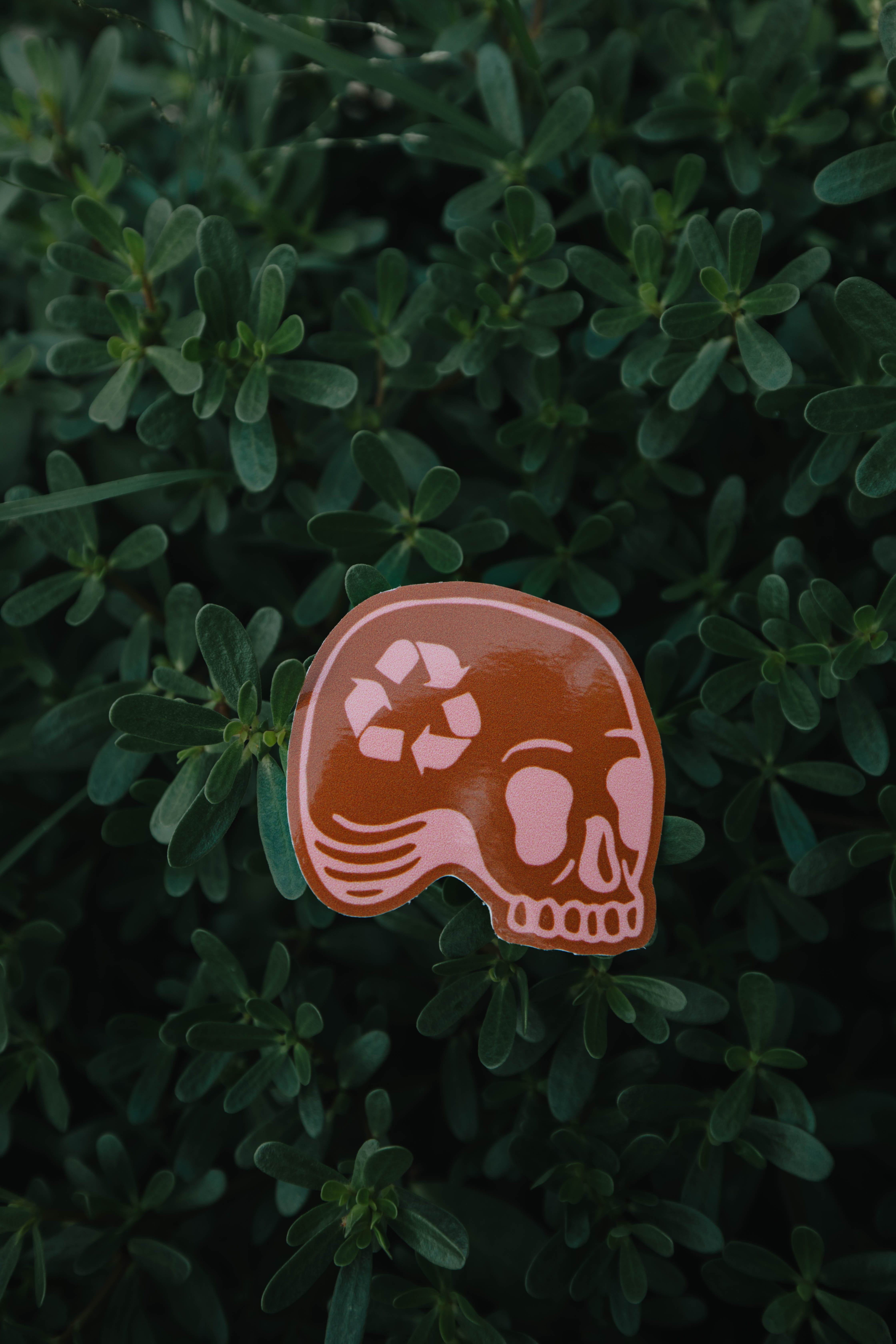 Brown Recycle Skull Sticker