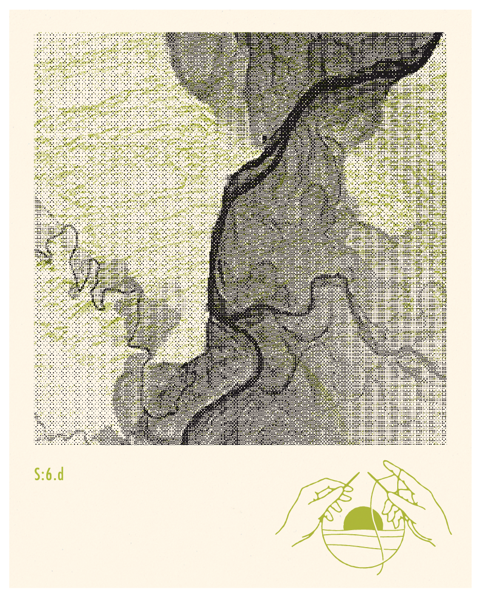 KC s6 batch d 750mL - Additional