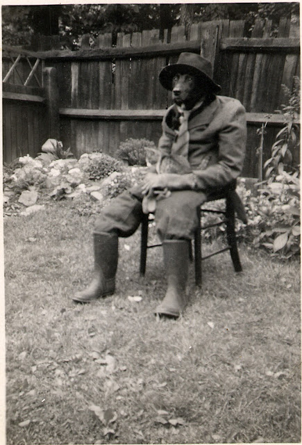 black and white photo of a dog wearing a suit sitting in a chair