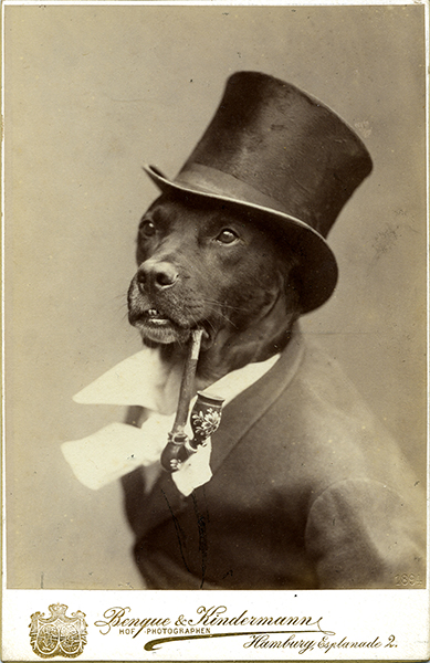 Black and white photo of a dog wearing a suit with top hat and pipe